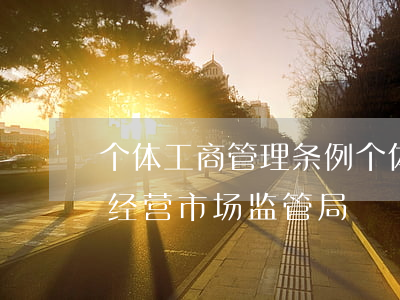 个体工商管理条例(个体工商管理条例 超范围经营 市场监管局)