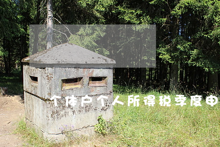 个体户个人所得税季度申报逾期-
