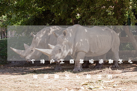 个体户工商年报逾期怎么解决(个体户工商年报逾期怎么解决的)