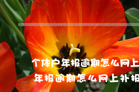 个体户年报逾期怎么网上补报浙江-个体户年报逾期怎么网上补报浙江税务