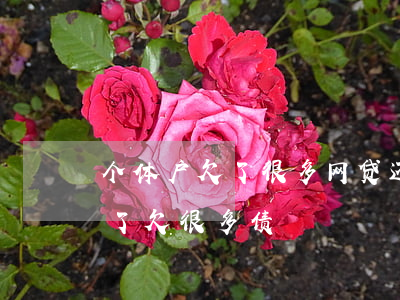 个体户欠了很多网贷还不起(网贷也贷不出来了,欠很多债)