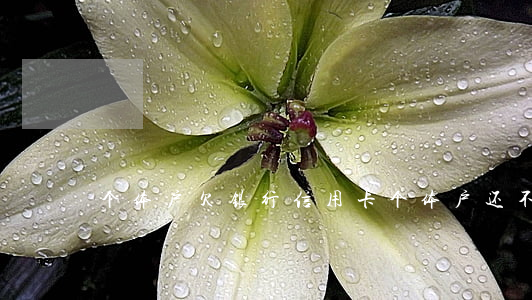 个体户欠银行信用卡(个体户还不起负债)