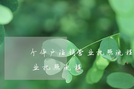 个体户注销营业执照流程(代办个体户注销营业执照流程)