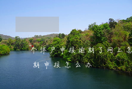 个体户申报逾期了网上怎么处理-个体户逾期申报怎么办