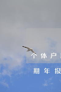 个体户逾期年报未申报怎么处理-个体户逾期年报未申报怎么处理的