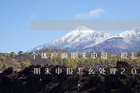 个体户逾期未申报一般怎么处理-个体户逾期未申报怎么处理2023