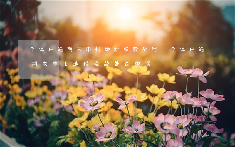 个体户逾期未申报地税税款处罚-个体户逾期未申报地税税款处罚依据
