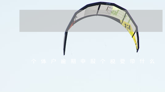 个体户逾期申报个税要带什么