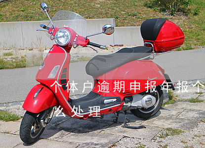 个体户逾期申报年报(个体户逾期申报年报怎么处理)