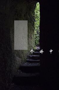 个体申报表多久逾期(个体季度申报逾期)