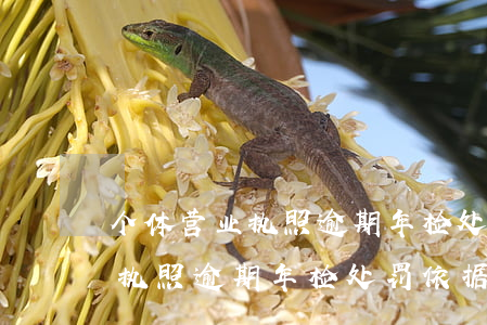 个体营业执照逾期年检处罚依据-个体营业执照逾期年检处罚依据是什么