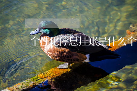 个性化停息挂账是什么(个性化停息分期)