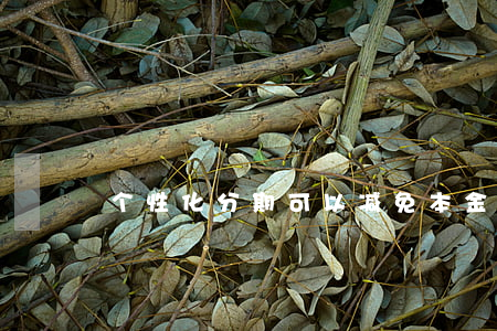 个性化分期可以减免本金吗（个性化分期降额）