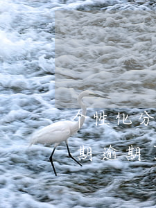 个性化分期后又逾期一天会怎么样-二次分期逾期了两三天怎么办