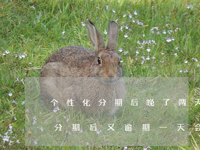 个性化分期后晚了两天还能还款吗-个性化分期后又逾期一天会怎么样
