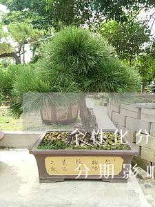 个性化分期影响其他信用卡使用吗-个性化分期影响其他信用卡使用吗