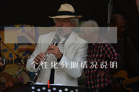 个性化分期情况说明