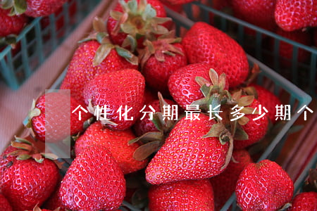 个性化分期最长多少期(个性化分期坏处)