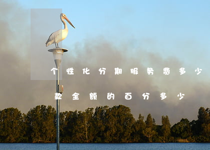 个性化分期服务费多少(个性化分期需要先付款全额的百分多少)