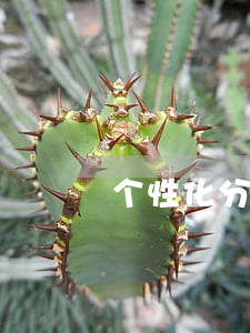 个性化分期材料怎么办(个性化分期好办吗)