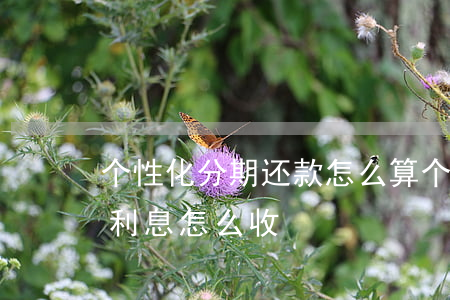 个性化分期还款怎么算 个性化分期有利息么,利息怎么收?