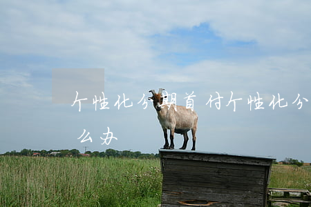 个性化分期首付 个性化分期首付款拿不出怎么办