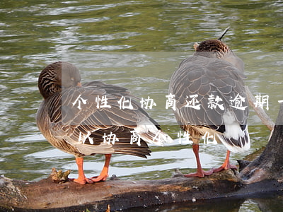 个性化协商还款逾期一天怎么办(逾期一年可以协商个性化)