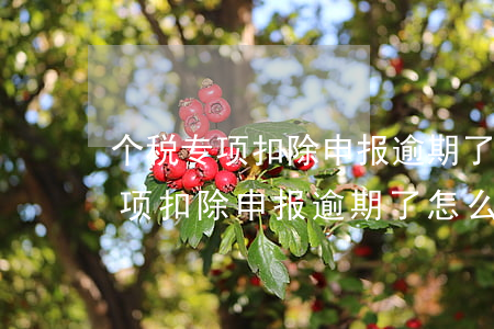 个税专项扣除申报逾期了怎么处理-个税专项扣除申报逾期了怎么处理呢