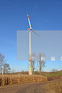 个税漏报逾期不交罚款