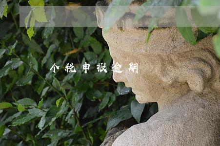 个税申报逾期