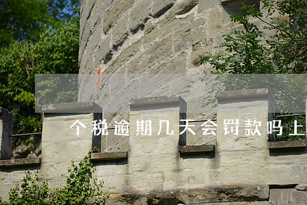 个税逾期几天会罚款吗上海