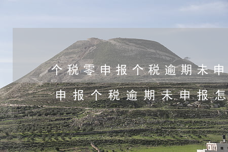 个税零申报个税逾期未申报怎么补-个税零申报个税逾期未申报怎么补报