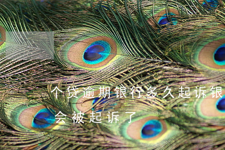 个贷逾期银行多久起诉(银行贷款逾期几个月会被起诉了)