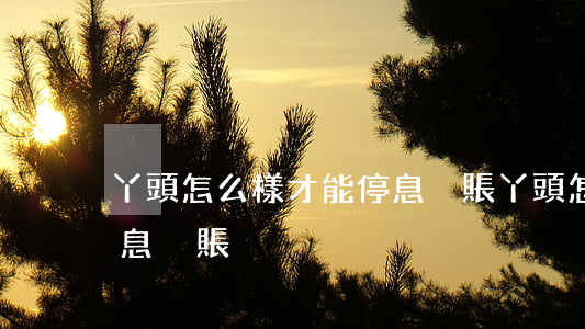 丫頭怎么樣才能停息掛賬(丫頭怎么樣才能停息掛賬)