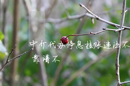 中介代办停息挂账违法不(有人代办停息挂账靠谱不)