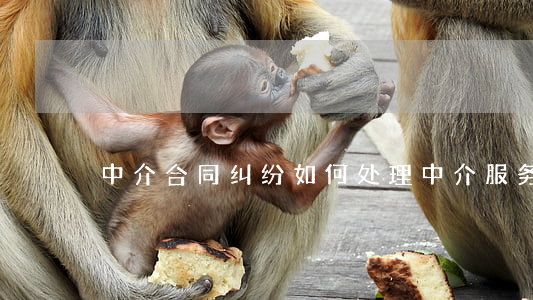 中介合同纠纷如何处理(中介服务合同纠纷)