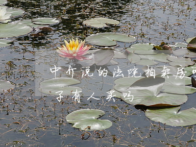 中介说的法院拍卖房可以买吗(法院拍卖的房子有人买吗)