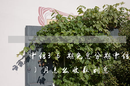 中信36期免息分期(中信分期36個(gè)月怎么收取利息)