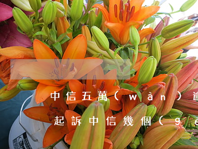 中信五萬(wàn)逾期多久會(huì)起訴(中信幾個(gè)月起訴)