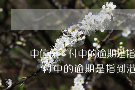 中信保賠付中的逾期是指到港日嗎-中信保賠付中的逾期是指到港日嗎是真的嗎