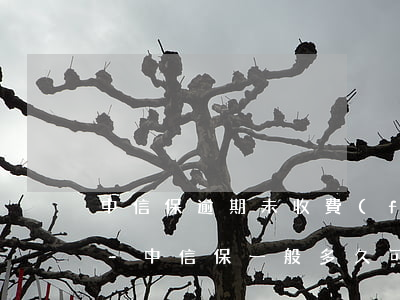 中信保逾期未收費(fèi)的要如何操作-中信保一般多久可以賠付
