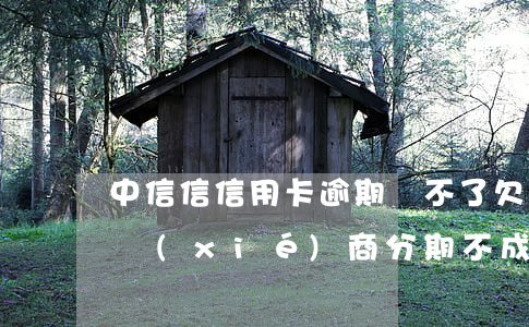 中信信信用卡逾期還不了(欠中信信用卡逾期協(xié)商分期不成功怎么辦)