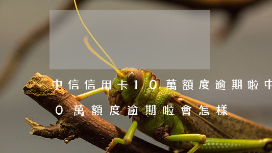 中信信用卡10萬額度逾期啦(中信信用卡10萬額度逾期啦會怎樣)