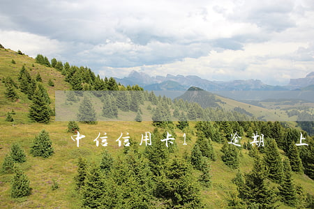 中信信用卡1萬逾期會上門