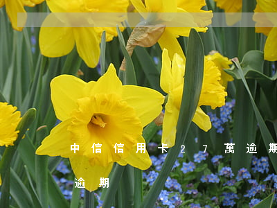中信信用卡27萬逾期了（中信信用卡27萬逾期）