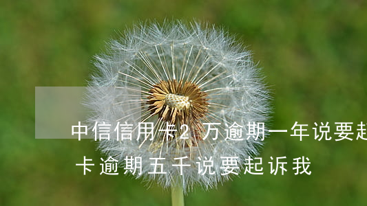 中信信用卡2万逾期一年说要起诉（中信信用卡逾期五千说要起诉我）