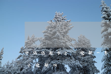中信信用卡2萬逾期一年說要起訴（中信信用卡逾期四萬）