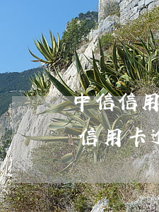 中信信用卡2萬逾期一年說要起訴（中信銀行信用卡逾期被起訴怎么辦）