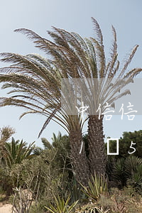 中信信用卡2萬逾期多久會起訴(中信銀行欠1萬5,逾期三個(gè)月會被起訴嗎)