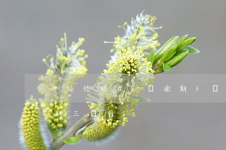 中信信用卡3萬逾期3個月(欠信用卡3萬逾期三個月)